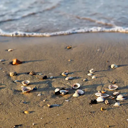 아파트 In 38290 *