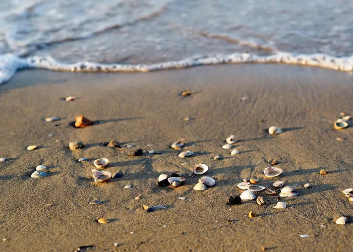 아파트 In 38290 *