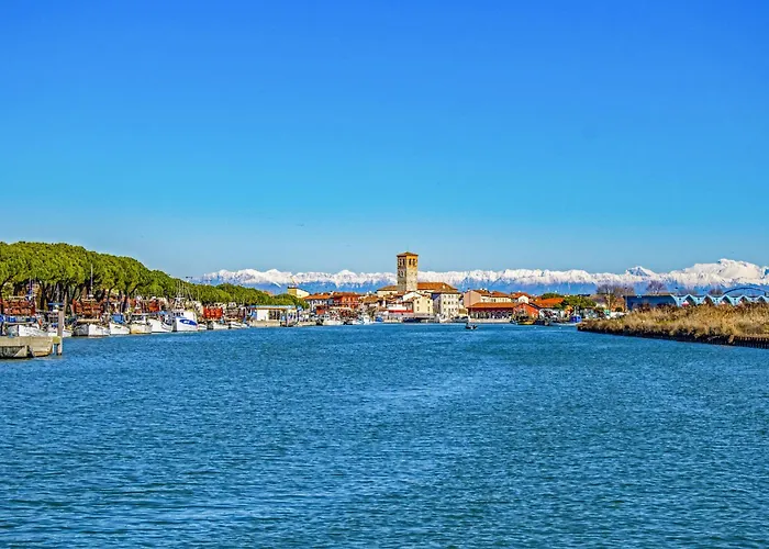 In 38290 * 비비오네